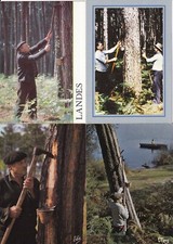 Lot 4 cartes postales