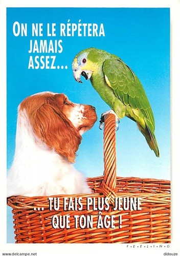 Carte postale animaux - postale,
