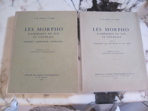 Les morpho amérique sud - morpho, du