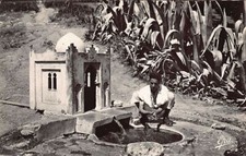 Algérie - HAMMAM RIGHA - Aïn Tolba - Ed. Photo Africaines 9