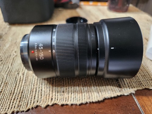 Panasonic lumix vario - g,