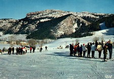 Lans-en-Vercors - L'aigle
