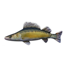 COUSSIN PELUCHE POISSON SANDRE 77 CM Alciumpeche