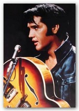 Elvis Presley - The King of