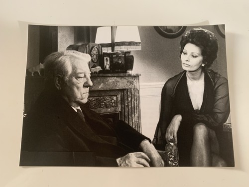Verdict sophia loren - verdict,