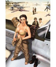 PIN UP WINGS Tome 3 AVIATION de GUERRE avions de légende des filles SEXY HUGAULT