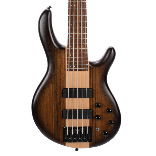 Cort plus ovmh - c5,