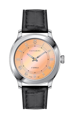 Montre mécanique cavadini - montre,