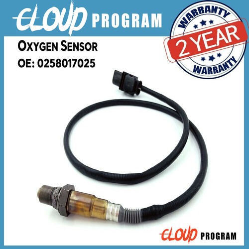 Lsu oxygen sensor - 4.9,