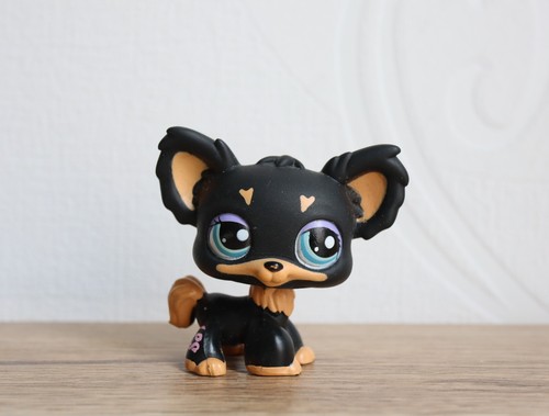 Littlest petshop chihuahua - littlest,