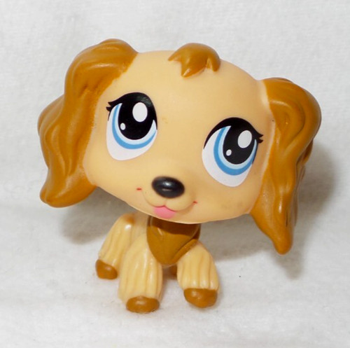 Littlest pet shop petshop - pet,