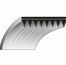 Courroie Crantée 6 - 17,2 X