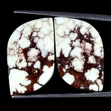 23.40Cts Naturel Sauvage