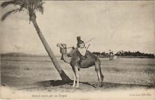 CPA AK ALGERIA Mehari Monte