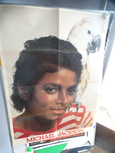 Michael jackson poster - jackson,
