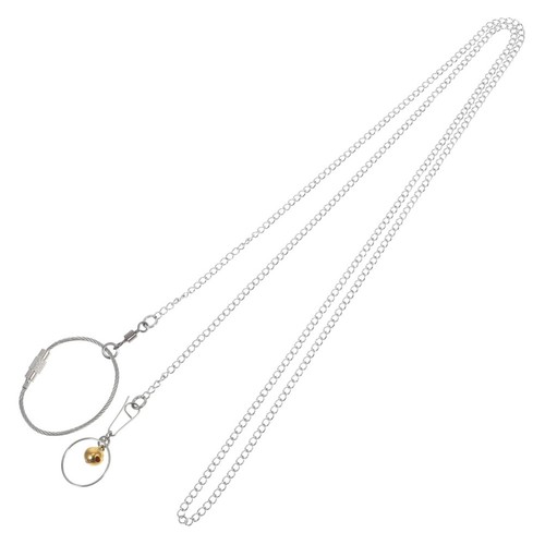 Harnais perroquet pour - perroquet,