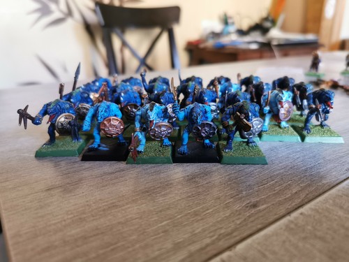 Warhammer armées hommes - 26,