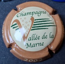 Lot lettre V3 - VALLEE DE LA MARNE / CAPSULE PLAQUE MUSELET CHAMPAGNE 2002