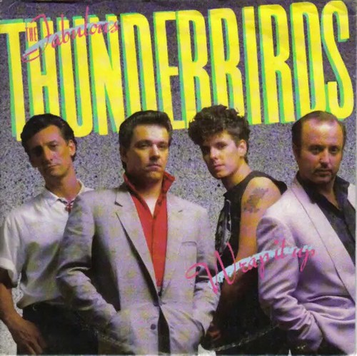 The fabulous thunderbirds - the,