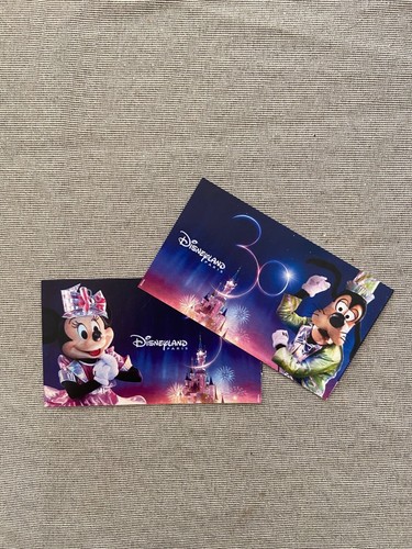 Billets disneyland paris 2 - disneyland,