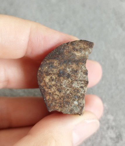 Meteorite nwa xxx - xxx, chondrite