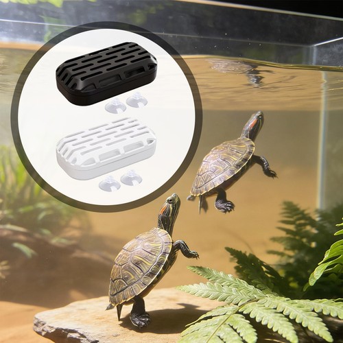 Reptile collector boîte - ,