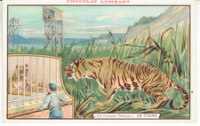 CARTE PUBLICITAIRE CHOCOLAT