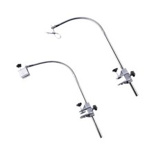 Chien de toilettage pour