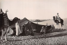 ALGERIE DEVANT LA HAIMOH OU