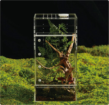 Acrylic Terrarium for Reptiles