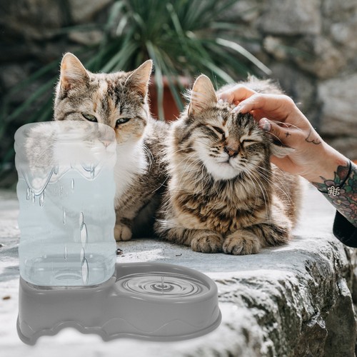 Distributeur eau automatique - distributeur, d'eau