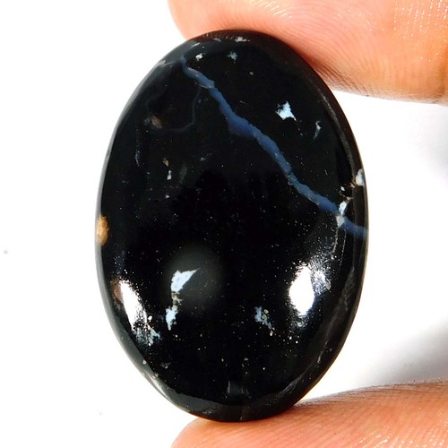 1cts indonésie petrified - 33.1cts.,
