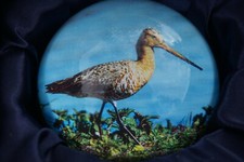 PNAT10  SULFURE PRESSE PAPIER GRUE BARGE QUEUE NOIRE OISEAU  PAPERWEIGHT  ECRIN