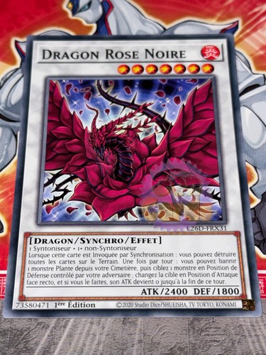 Carte dragon rose - carte,