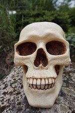 HF0063   FIGURINE TIRELIRE