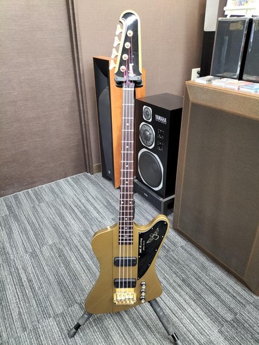 Guitare basse électrique