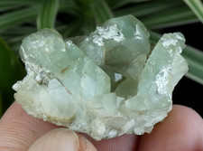 Prehnite verte La Combe de la