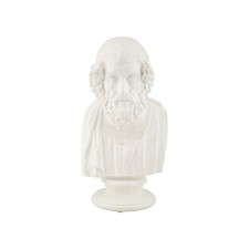 Buste Homme en Résine "Sage"