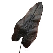 Feuille de caladium artificiel en tige H 80 cm Noir - couleur: Noir