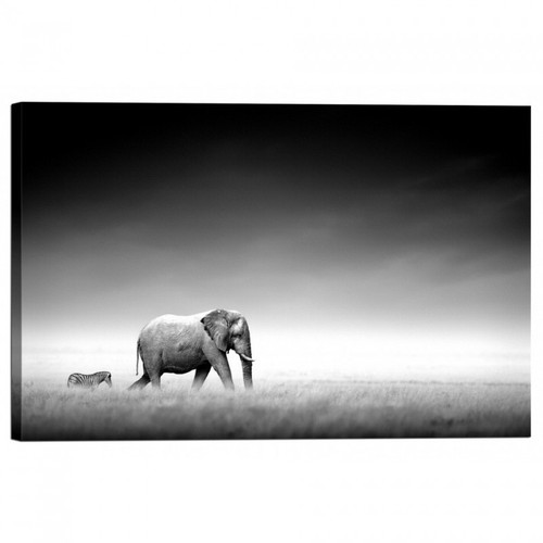 Cadre impression sur toile - cadre, d'impression