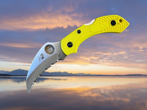 Spyderco dragonfly salt - spyderco, 2