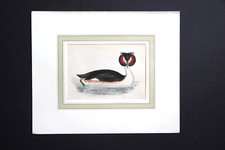 Gravure anglaise ancienne