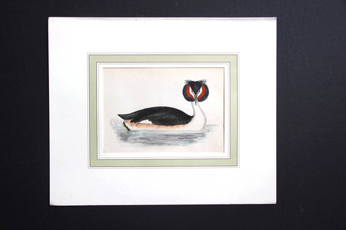 Gravure anglaise ancienne
