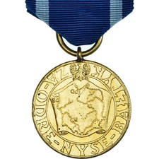 Pologne, Combats de l'Oder, La