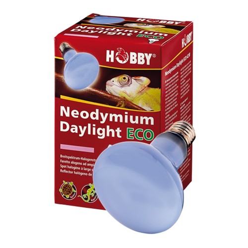 Hobby néodyme écoluxe - hobby,
