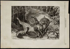 1869 - Le Chat haret - Gravure
