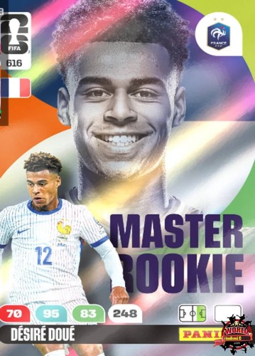 Panini fifa world cup - panini,