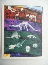 Stikers album PANINI 1992 immage Animaux Prehistorique Prehistoric Vignette n°25
