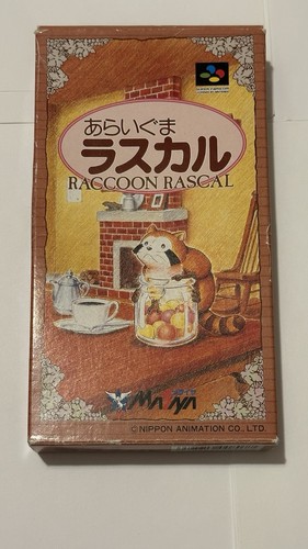 Araigumi rascal raccoon - rascal, (raccoon