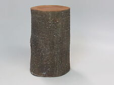 Miniature Fairy Garden and